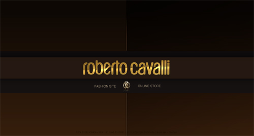 Roberto Cavalli su Facebook, Twitter e un blog: vuoi diventare suo amico?