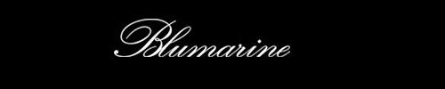 blumarine logo black