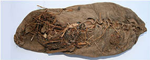 La scarpa più antica del mondo ha 5500 anni e uno stile modernissimo