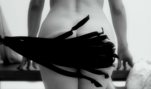showstudio