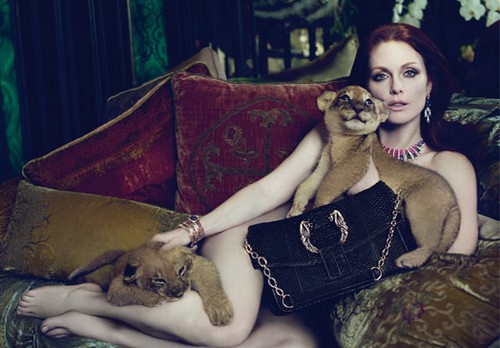 Julienne Moore scandalosa a Venezia. Ma sarà vero?