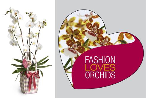 Festa della Mamma 2011: Orchid Bag di Mantero