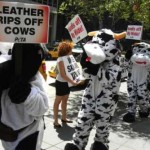 manifestazione PETA 4 agosto New York contro l'uso dei pellami