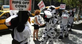 manifestazione PETA 4 agosto New York contro l'uso dei pellami