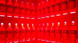 campari_vfno2011roma