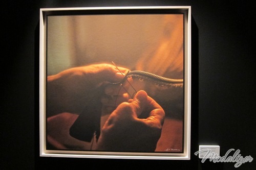 mostra fotografica master's hand fratelli rossetti palazzo serbelloni milano