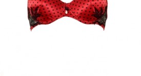 idee regalo natale 2011 lingerie stile animalier