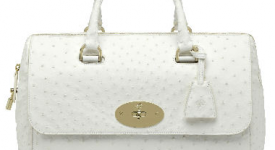 mulberry-bag-lana-del-rey