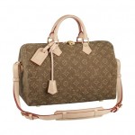 Lois Vuitton speedy neverfull monogram stone