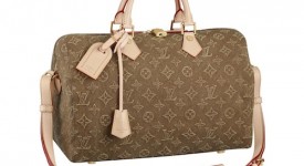 Lois Vuitton speedy neverfull monogram stone