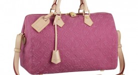 Lois Vuitton speedy neverfull monogram stone