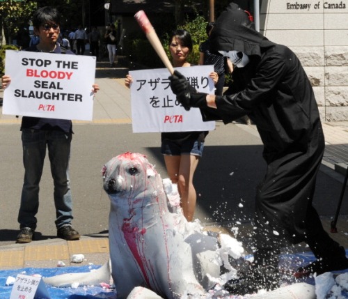 PETA lancia un video di protesta e fa sfilare gli animali con abiti umani