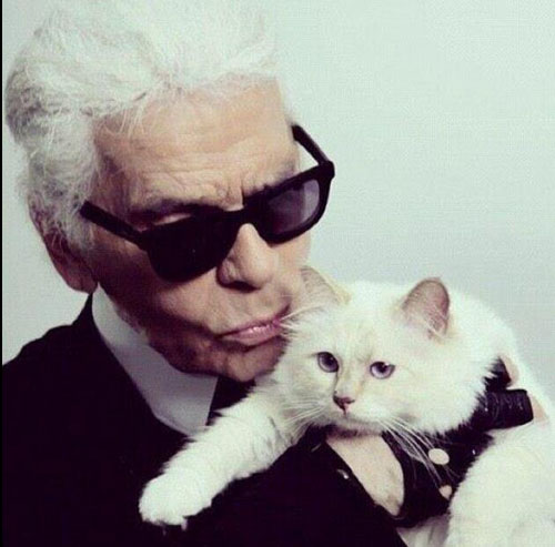 karl lagerfeld e choupette