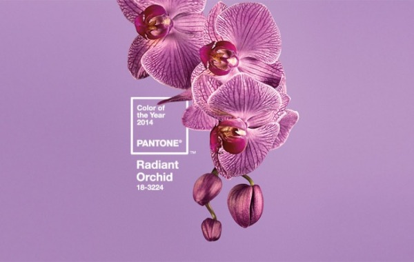 Pantone, è Radiant Orchid il colore dell'anno