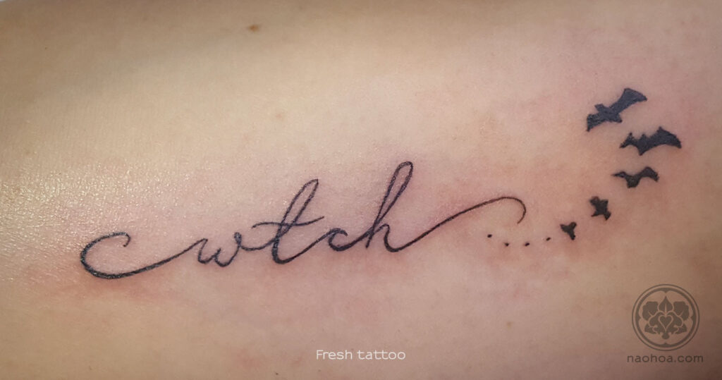 Cwtch